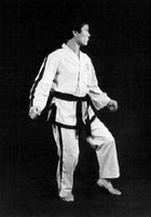 rear foot stance (dwitbal sogi)