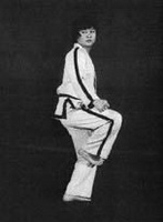 bending stance (guburyo sogi)