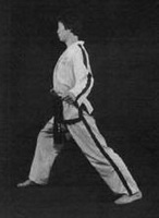 walking ready stance (gunnun junbi sogi)