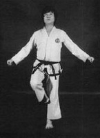 one-leg stance (waebal sogi)